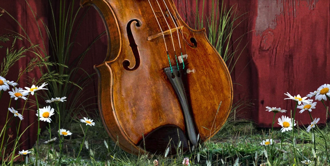 photo of a violin leaning against a red board fence with daisies on either side